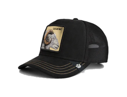 BASEBALL CAP GOLDEN LEGEND VOID